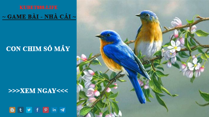 Con Chim Số Mấy - Giấc Mơ Về Chim Là Điềm Gì